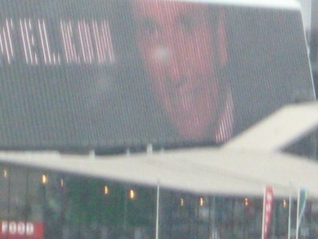 048-IMG_2713.JPG.medium.jpeg