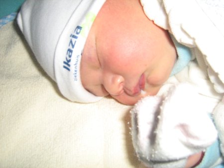 051-IMG_2719.JPG.medium.jpeg