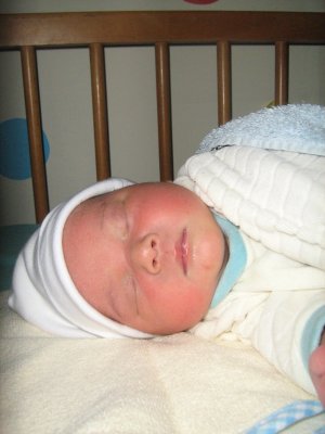 054-IMG_2722.JPG.medium.jpeg