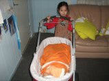 060-IMG_2729.JPG.small.jpeg