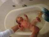 090-DSC03967.JPG.small.jpeg