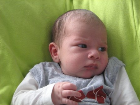 130-IMG_2829.JPG.medium.jpeg