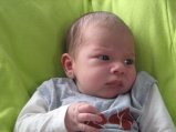 130-IMG_2829.JPG.small.jpeg