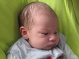 132-IMG_2832.JPG.small.jpeg