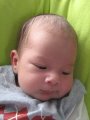 133-IMG_2833.JPG.small.jpeg