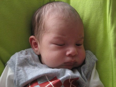 134-IMG_2835.JPG.medium.jpeg