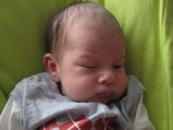 134-IMG_2835.JPG.small.jpeg