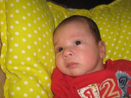 142-IMG_2854.JPG.medium.jpeg