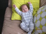 172-IMG_0003.JPG.small.jpeg