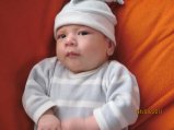 174-IMG_0006.JPG.small.jpeg