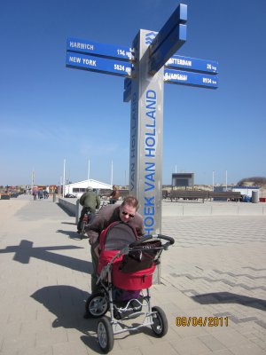 186-IMG_0019.JPG.medium.jpeg