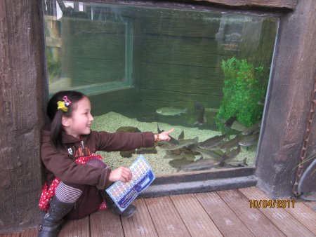 187-IMG_0022.JPG.medium.jpeg