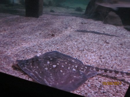 188-IMG_0024.JPG.medium.jpeg