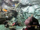 193-IMG_0036.JPG.small.jpeg