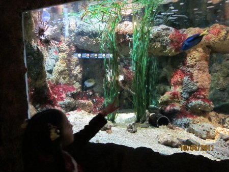 194-IMG_0037.JPG.medium.jpeg