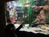 194-IMG_0037.JPG.small.jpeg