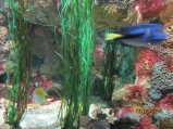 196-IMG_0039.JPG.small.jpeg
