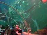 197-IMG_0040.JPG.small.jpeg