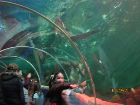 198-IMG_0041.JPG.medium.jpeg