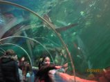 198-IMG_0041.JPG.small.jpeg