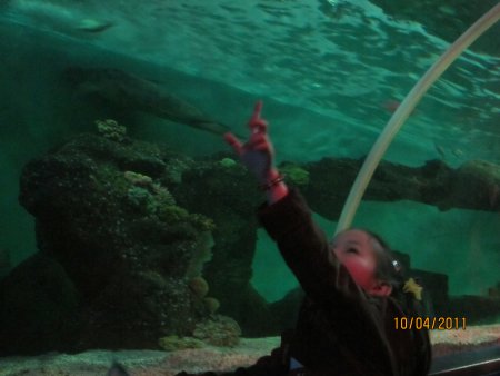 199-IMG_0042.JPG.medium.jpeg