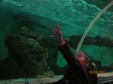 199-IMG_0042.JPG.small.jpeg