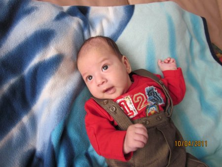 217-IMG_0066.JPG.medium.jpeg