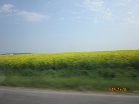 223-IMG_0072.JPG.medium.jpeg