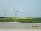 224-IMG_0073.JPG.small.jpeg