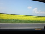 225-IMG_0076.JPG.small.jpeg