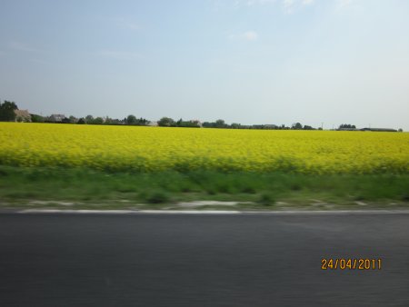 226-IMG_0077.JPG.medium.jpeg