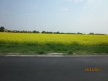 226-IMG_0077.JPG.small.jpeg
