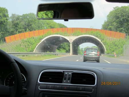 228-IMG_0080.JPG.medium.jpeg