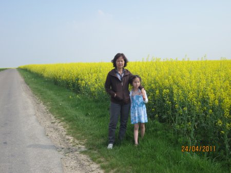231-IMG_0086.JPG.medium.jpeg