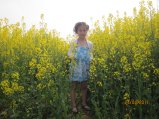 233-IMG_0088.JPG.small.jpeg