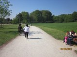 240-IMG_0095.JPG.small.jpeg