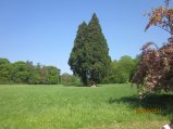 242-IMG_0097.JPG.small.jpeg