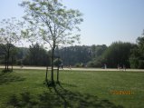 243-IMG_0098.JPG.small.jpeg