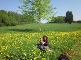 246-IMG_0101.JPG.small.jpeg