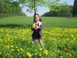 249-IMG_0106.JPG.small.jpeg