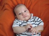 295-IMG_0154.JPG.small.jpeg