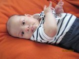 297-IMG_0157.JPG.small.jpeg
