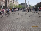 311-IMG_0182.JPG.small.jpeg