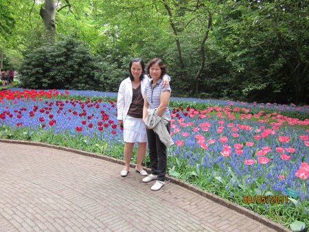 321-IMG_0204.JPG.medium.jpeg