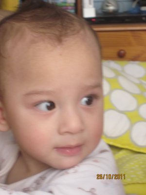 635-IMG_0994 - Copy.JPG.medium.jpeg