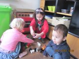 051-IMG_2156.JPG.small.jpeg