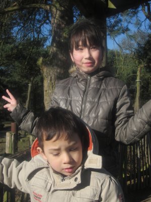044-IMG_3878.JPG.medium.jpeg