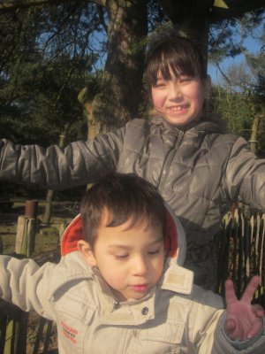 045-IMG_3879.JPG.medium.jpeg