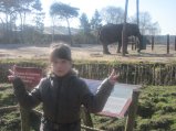 049-IMG_3885.JPG.small.jpeg