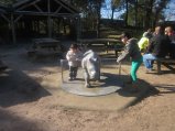 050-IMG_3886.JPG.small.jpeg
